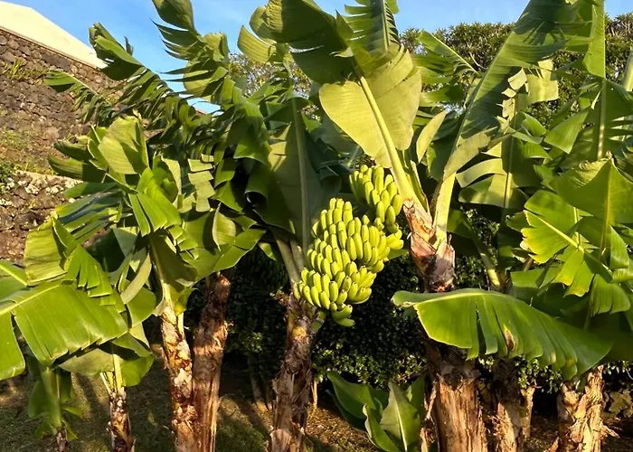 Casa Garden فيلة